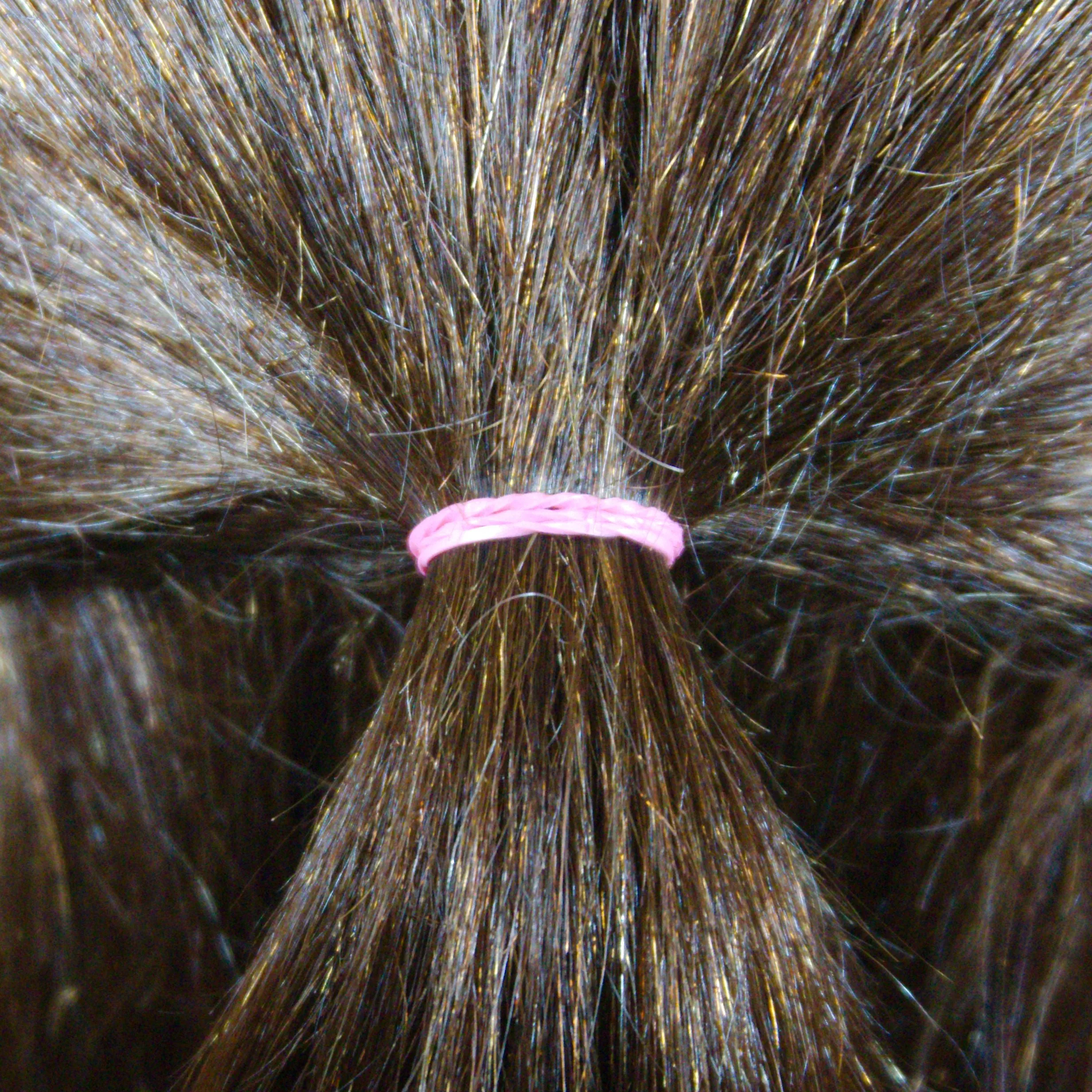 Amelia Beauty | 1/2in, Purple and Fuchsia Mix, Elastic Rubber Band Pony Tail Holders | Made in USA, Ideal for Ponytails, Braids, Twists, Dreadlocks, Styling Accessories for Women, Men and Girls | 1000 Pack