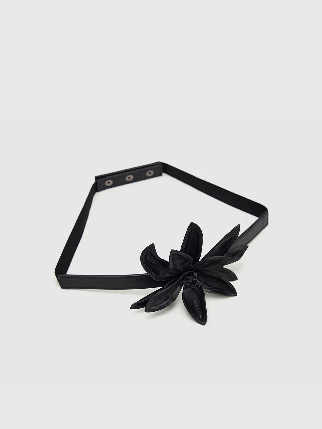 Belts