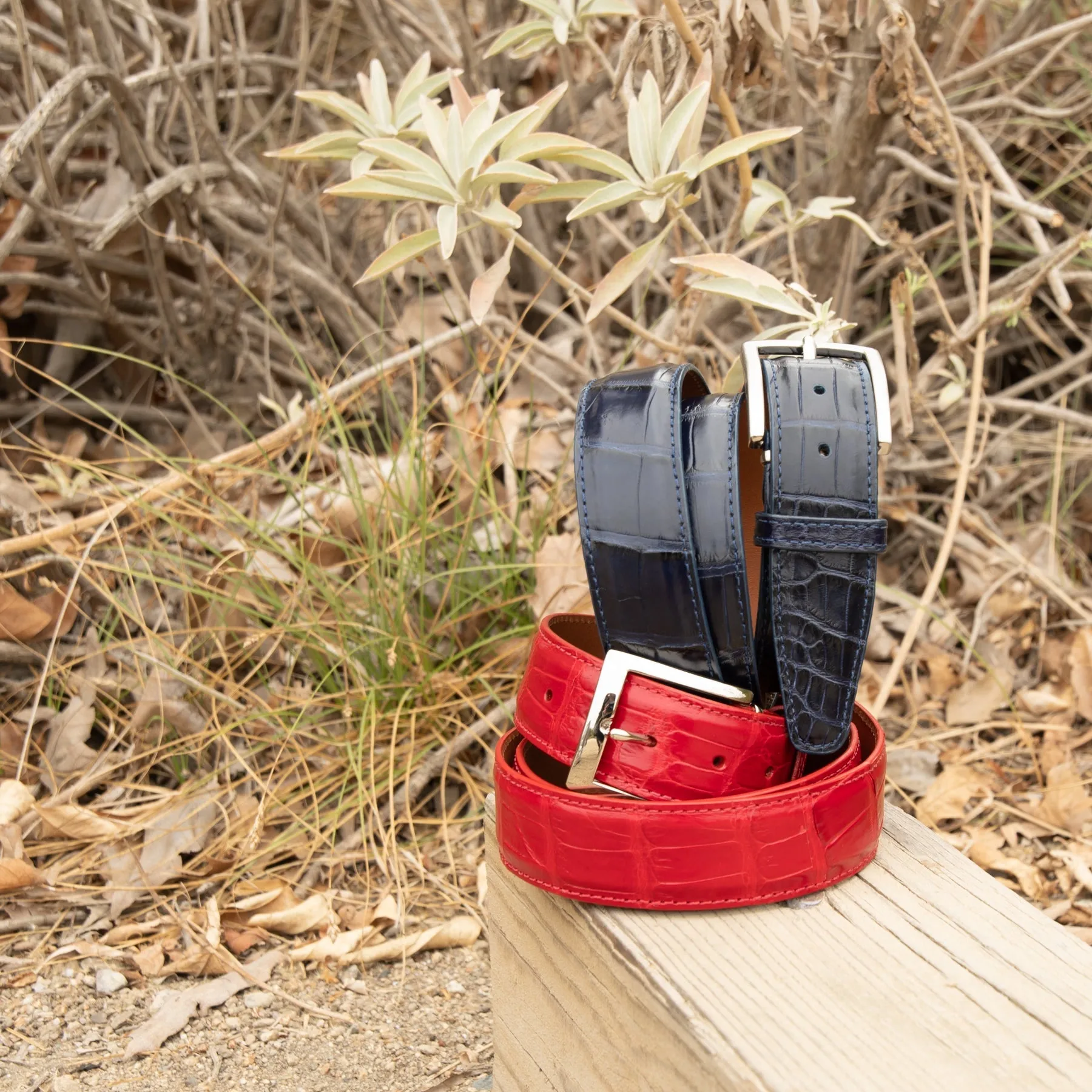 Genuine Glazed USA Alligator - Cognac - 40mm