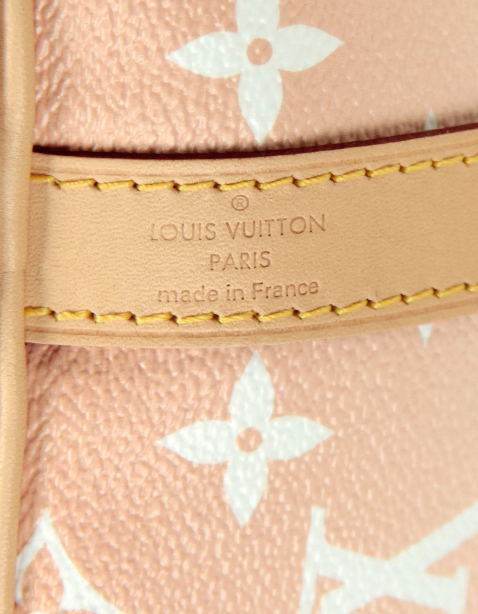 Louis Vuitton Brume Monogram Giant By The Pool Speedy Bandouliere 25 Bag