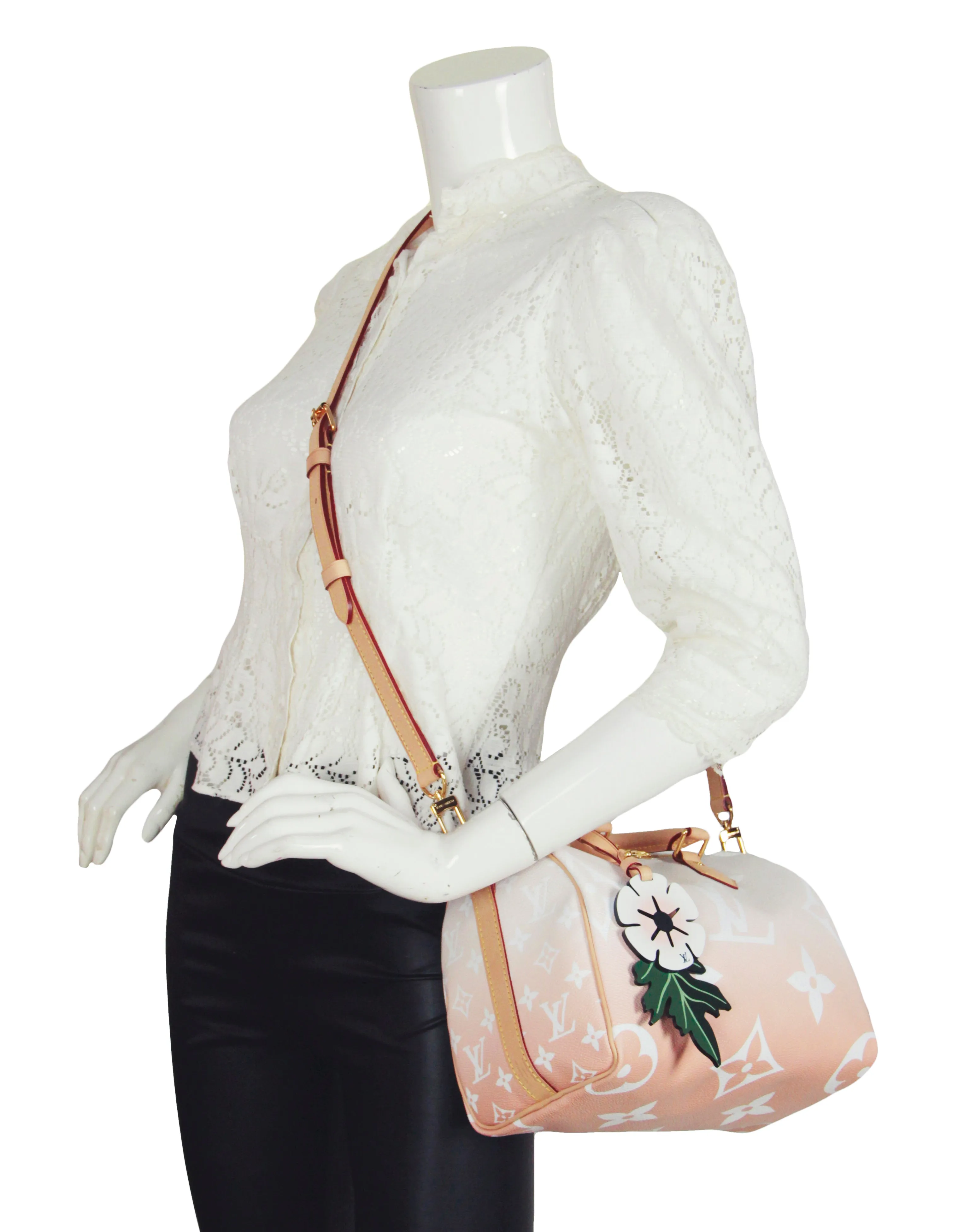 Louis Vuitton Brume Monogram Giant By The Pool Speedy Bandouliere 25 Bag
