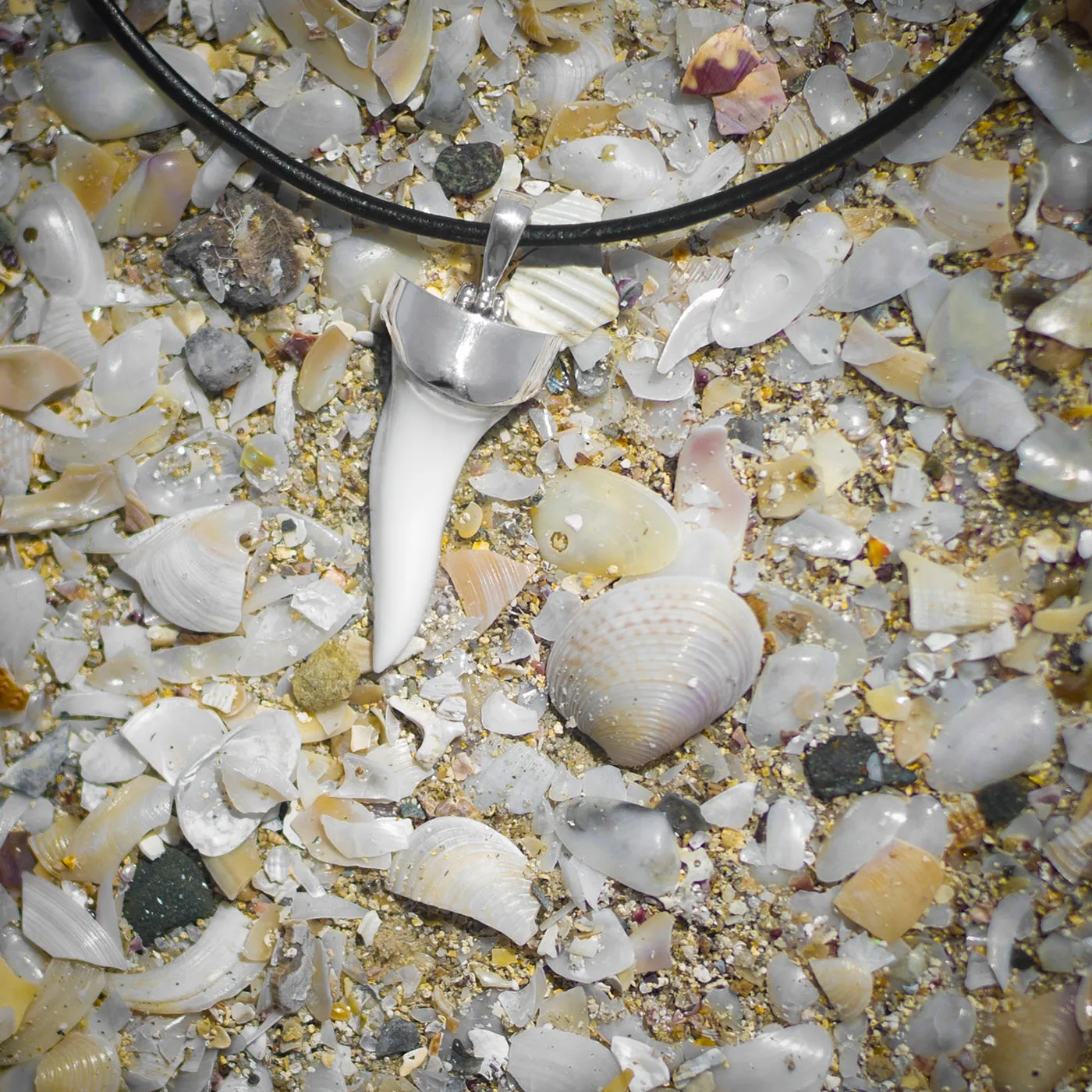Mako Shark Tooth In Silver s32