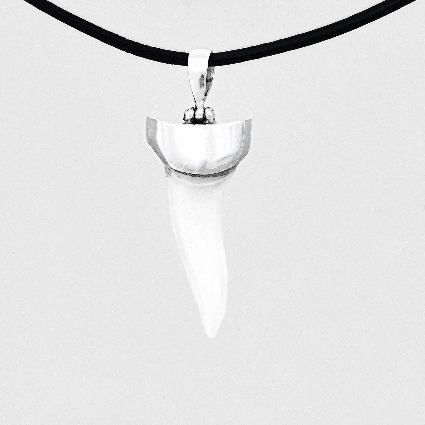Mako Shark Tooth In Silver s32