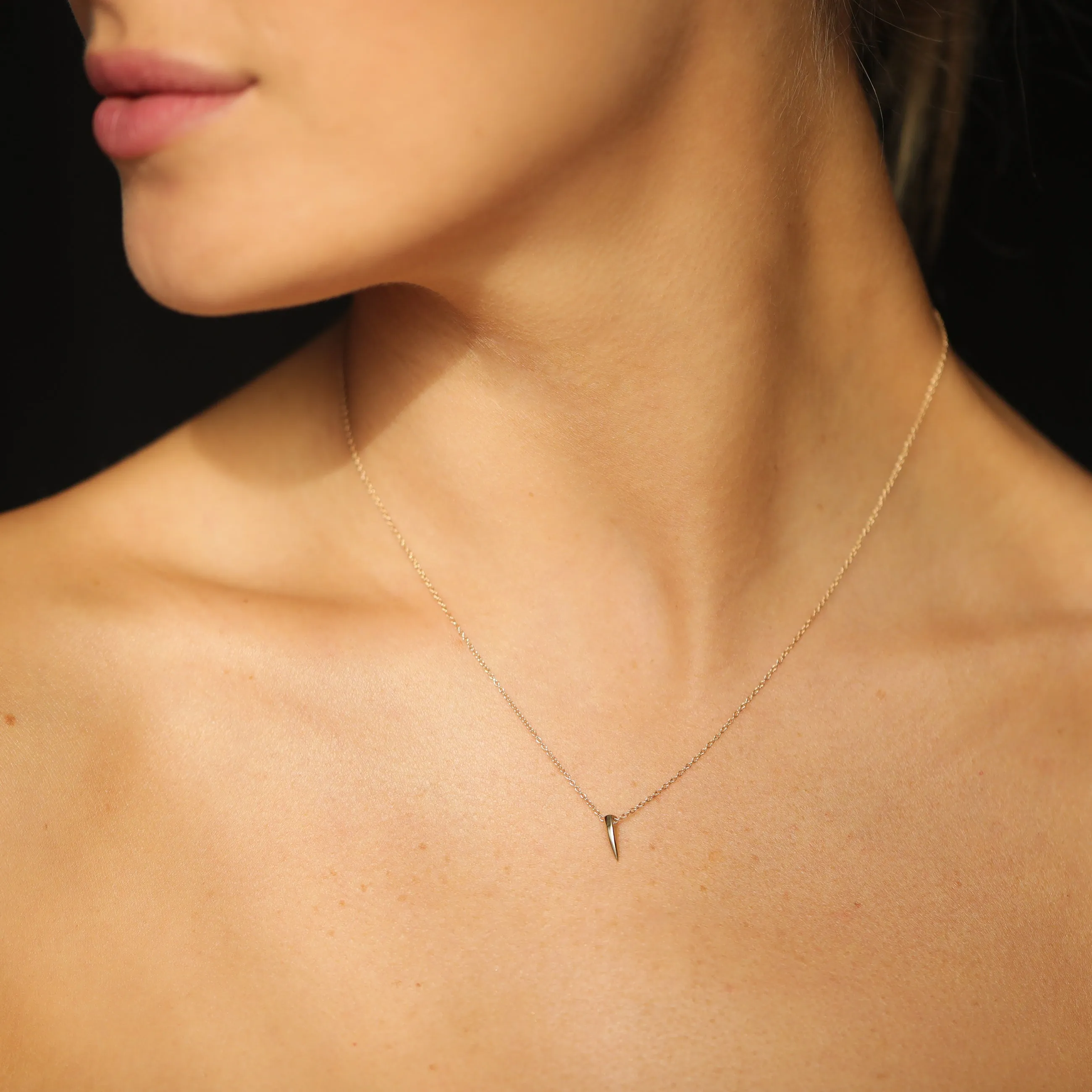 Mini Horn Necklace - Gold