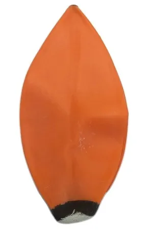 Morgan Round Floor To Ceiling Ball Bladder (Spare Part)