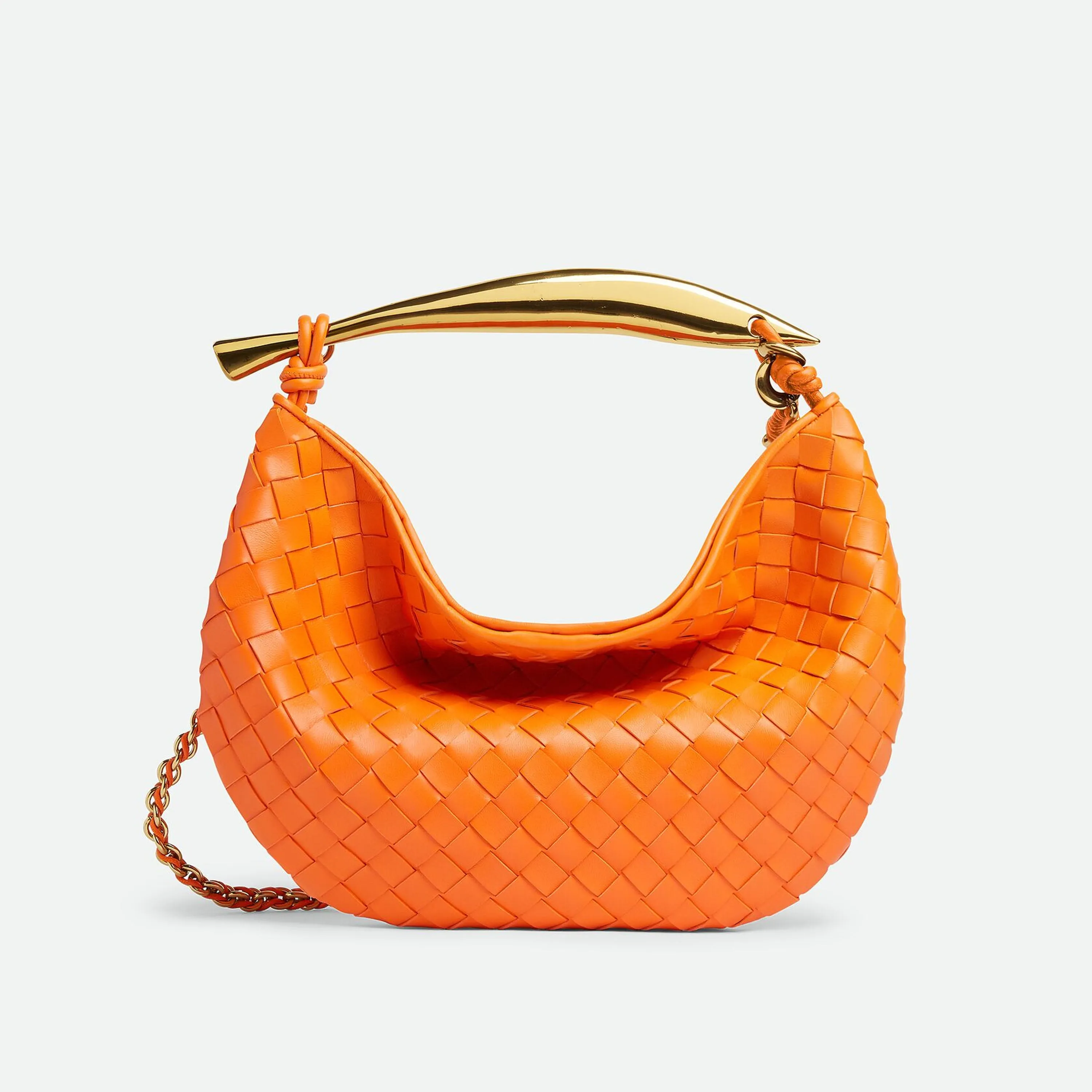 Sardine With Chain