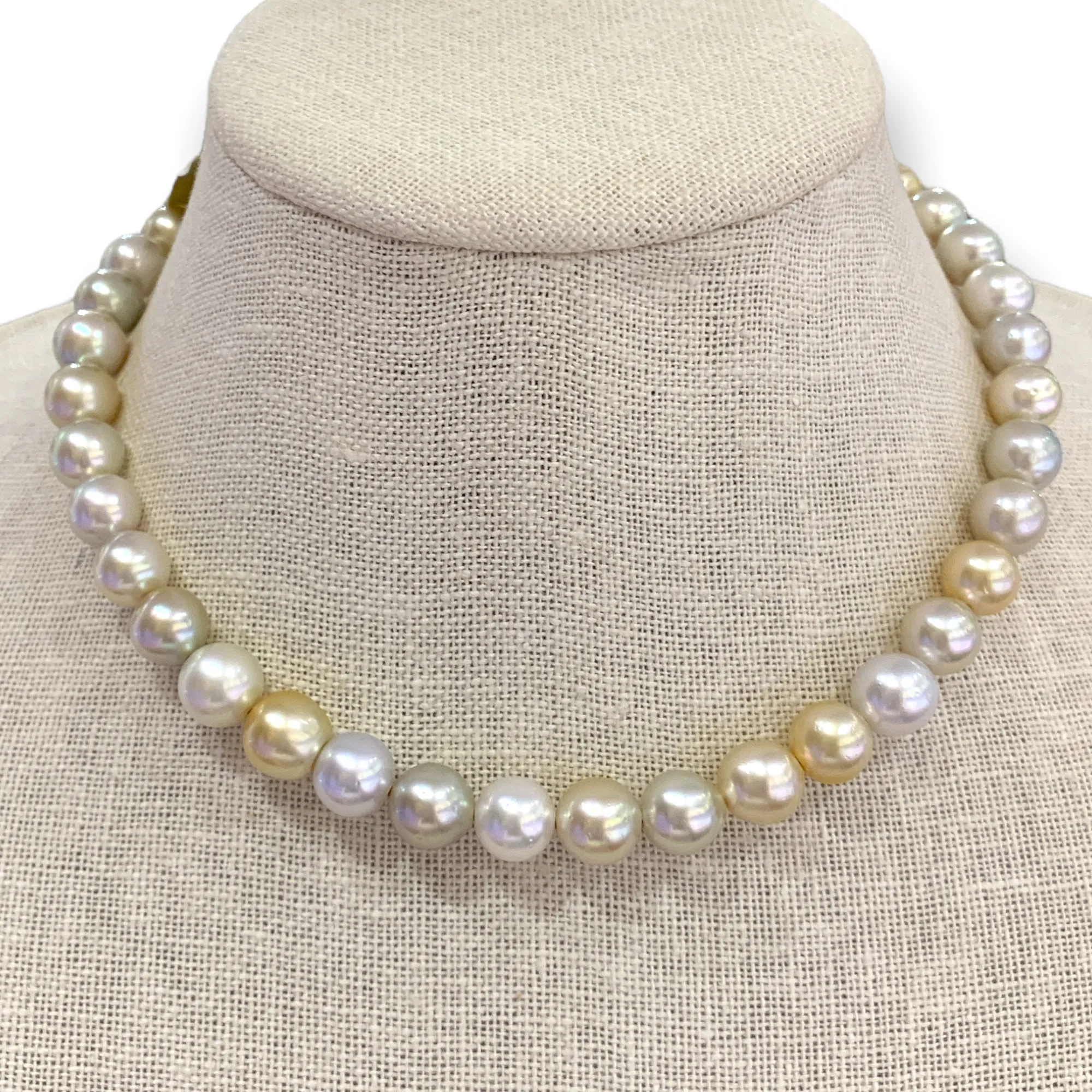 South Sea Peals on Leather Choker | 16.5”
