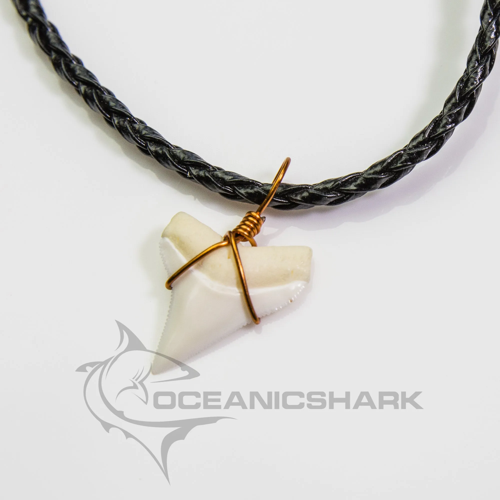 Whitetip Shark Tooth Necklace c191