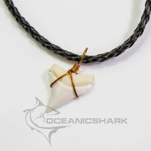 Whitetip Shark Tooth Necklace c191